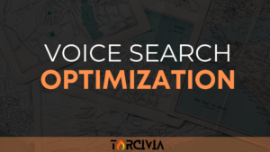 Voice Search Optimization banner