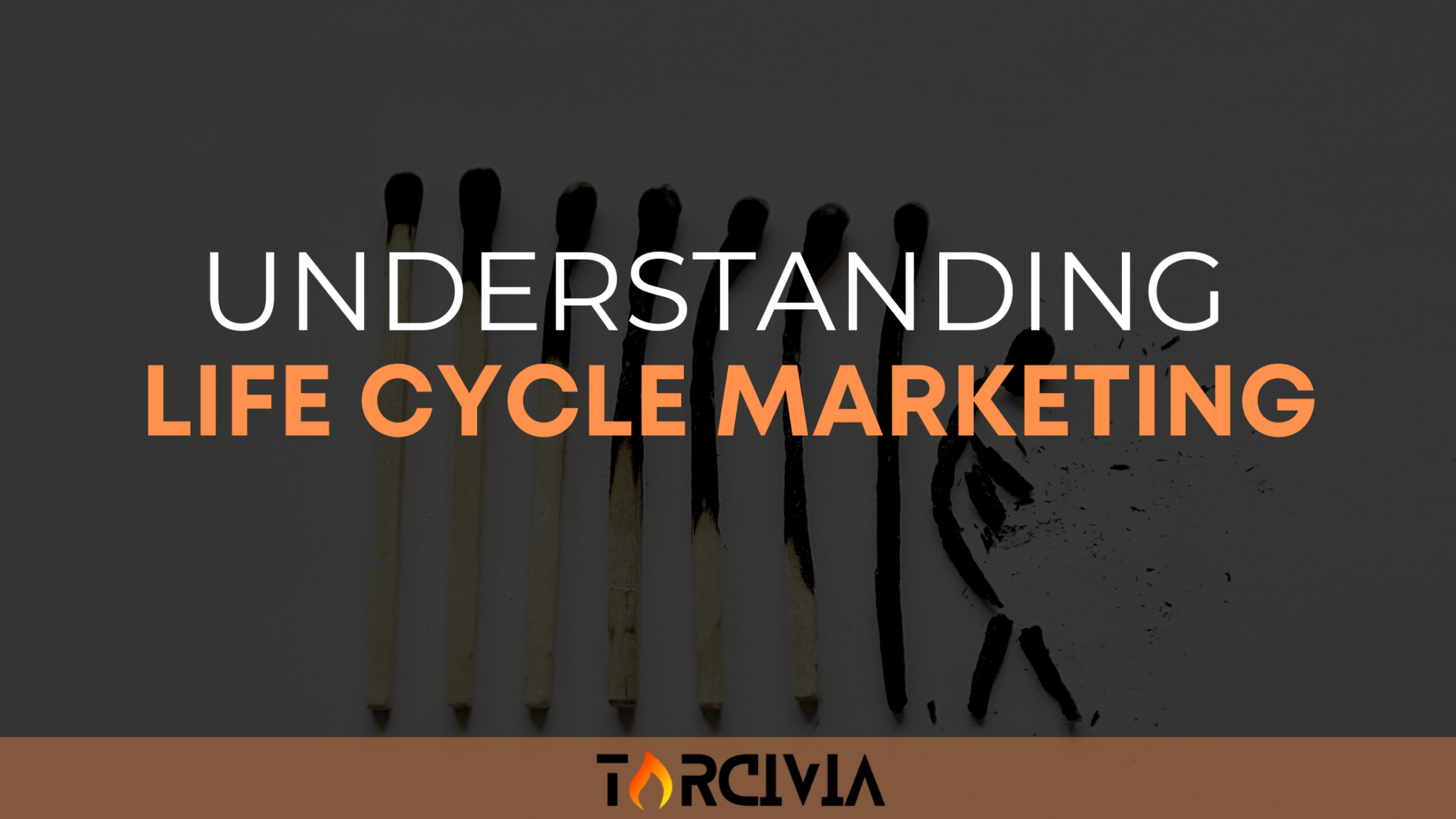 Understanding Life Cycle Marketing