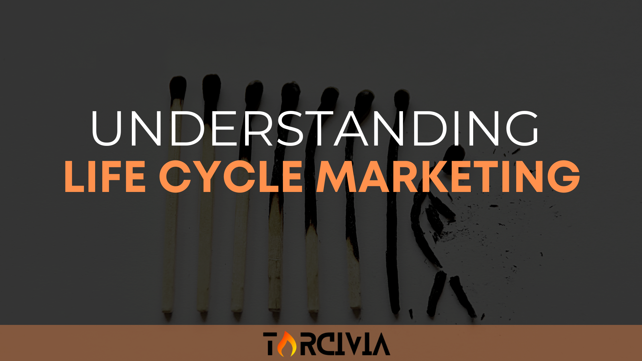 understanding-life-cycle-marketing-tyler-torcivia